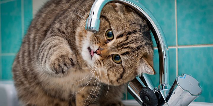 УВАГА! ТИМЧАСОВА ЗУПИНКА ВОДОПОСТАЧАННЯ
